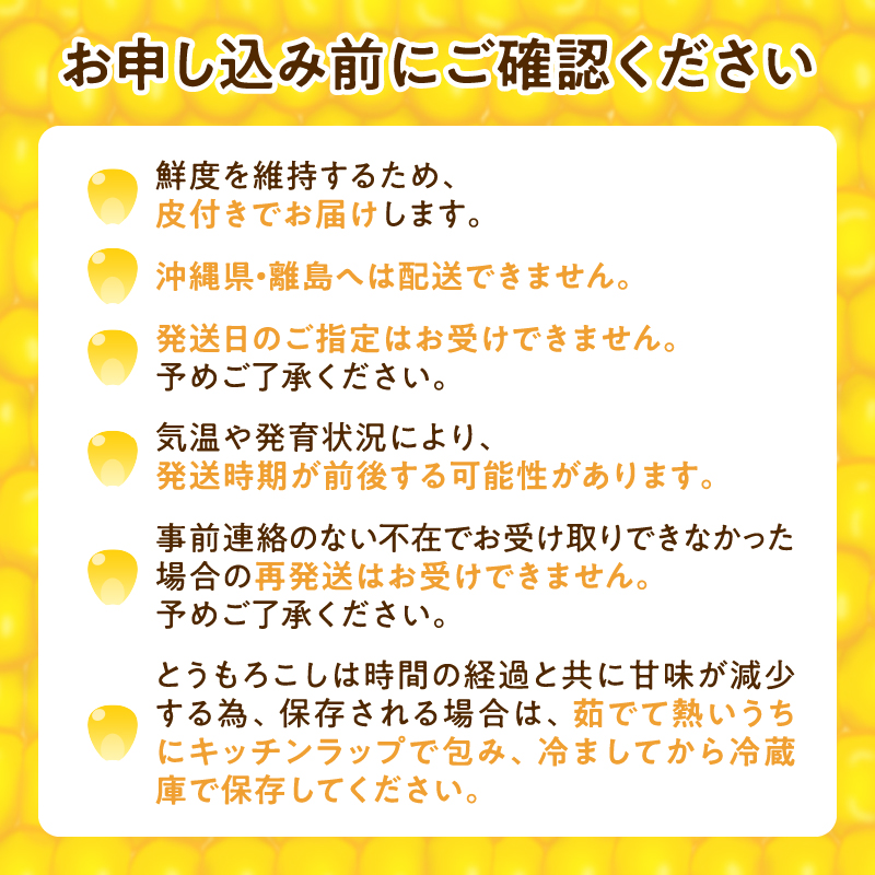【令和8年産先行受付】生でも美味しい！ とうもろこし 「 サニーショコラ 」 10本（Lサイズ）【配送不可地域：沖縄・離島】