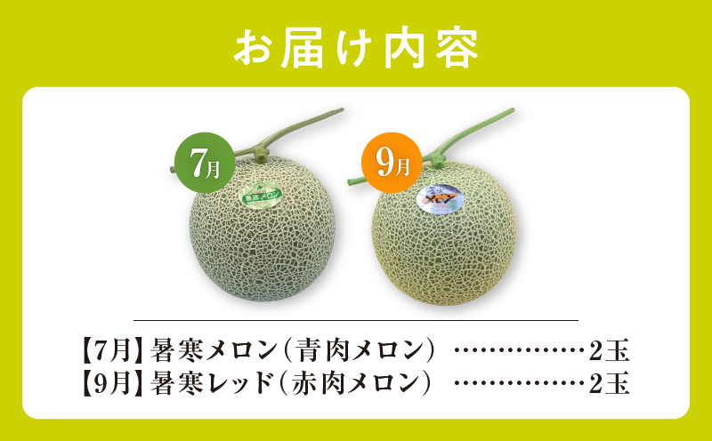 【 7月青肉・9月赤肉発送】北海道の贅沢　暑寒メロン食べ比べ2回便 【各2玉づつ】