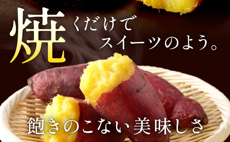 人気品種「紅はるか・シルクスイート」の食べ比べ！ 【数量限定】北海道雨竜町産 さつまいも 食べ比べセット「シルクスイート・紅はるか」 M-Lサイズ 2.5kg 大きめサイズ 産地直送 さつまいも サツマイモ 北海道 国産 おやつ お菓子作り 料理_U003-0006