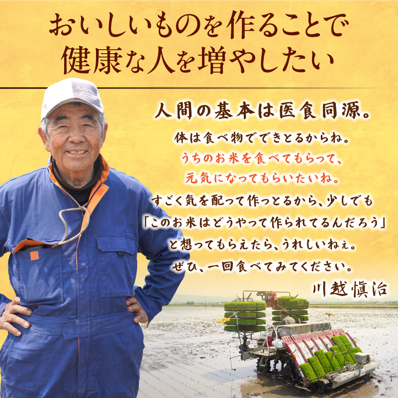 【定期便全12回】令和7年産 川越さんちの おぼろづき 10kg（5kg×2袋）毎月1回お届け 雨竜産 精米 定期便 10kg お米 お取り寄せ 北海道 雨竜町