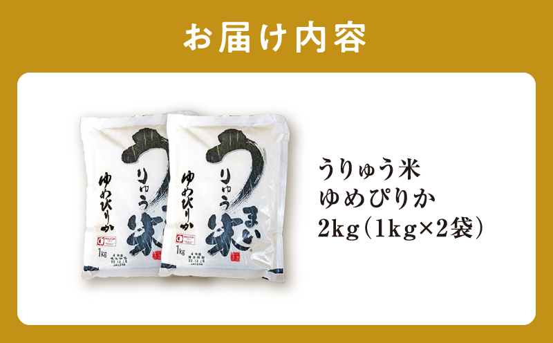 ふるさと納税 北海道 雨竜町 うりゅう米ななつぼし 5kg×2袋 令和5年産