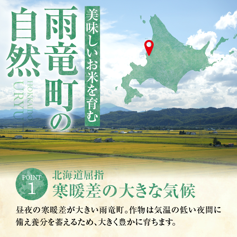【7月配送】うりゅう米 ななつぼし 5kg （5kg×1袋） 【7月配送】 精米5kg