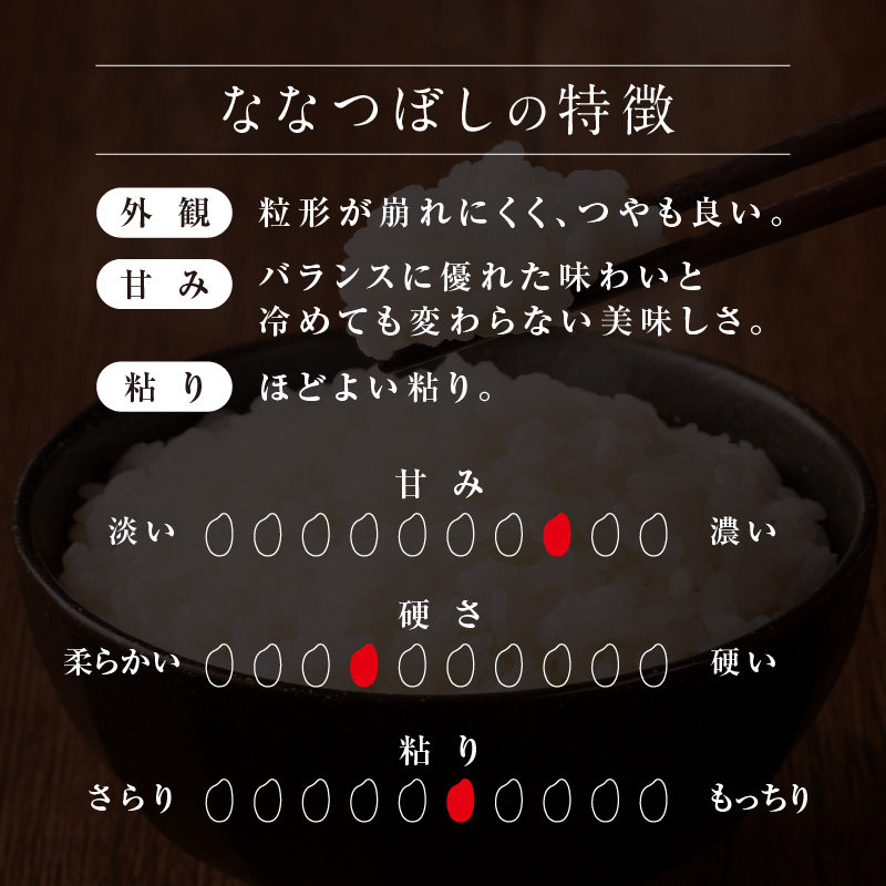 【8月配送】うりゅう米 ななつぼし 5kg （5kg×1袋） 【8月配送】 精米5kg