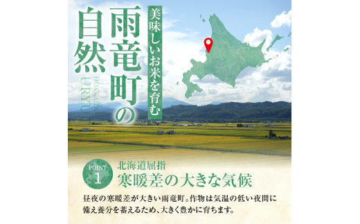 【新米予約】 令和8年産 【定期便全11回】 うりゅう米 ななつぼし 無洗米 10kg（5kg×2袋）毎月1回お届け お米 米 ごはん ご飯 11ヶ月 連続お届け 定期便 特A 単一原料米 お弁当 国産 人気 おすすめ kome 雨竜町 R8U001-075 【定期便全11回】 無洗米10kg