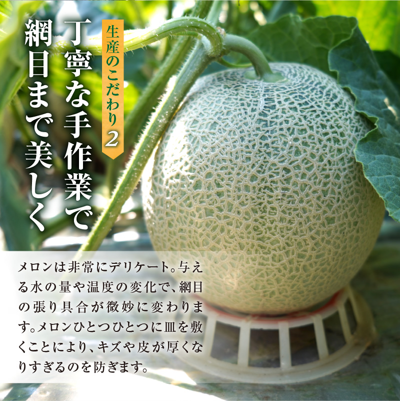 【令和8年産先行受付】北海道産 暑寒メロン  2玉(3.2kg以上 × 1箱)《2026年7月より発送予定》