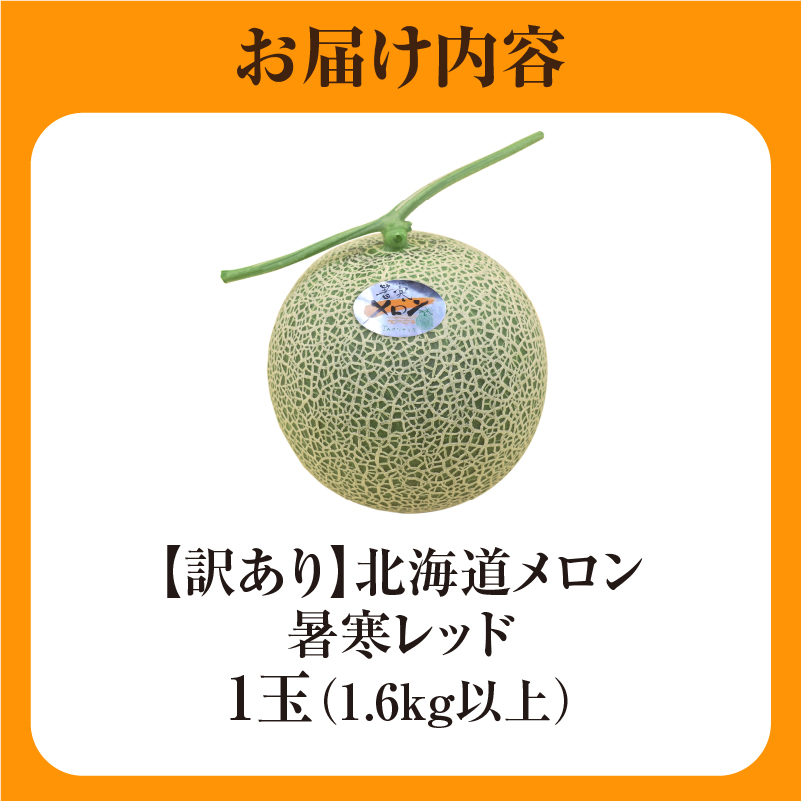 【令和8年産先行予約】【訳あり】北海道メロン 暑寒レッド 1玉 (1.6kg以上×1箱)《2026年9月より発送予定》ワケあり 家庭用 赤肉メロン わけあり 規格外 傷 不揃い くだもの フルーツ メロン めろん 9月 北海道 雨竜町