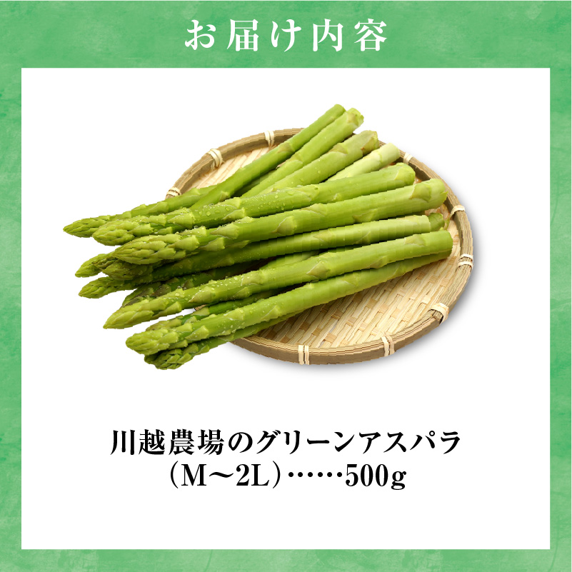 【先行受付】令和8年産 朝採りグリーンアスパラ  500g＜ 川越農場 ＞野菜 春 夏 北海道アスパラ 雨竜町産 パスタ サラダ スープ 旬 やわ旨