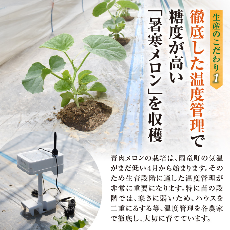 【令和8年産先行受付】北海道産 暑寒メロン  2玉(3.2kg以上 × 1箱)《2026年7月より発送予定》