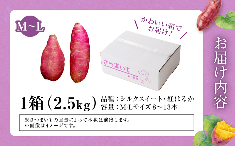 人気品種「紅はるか・シルクスイート」の食べ比べ！ 【数量限定】北海道雨竜町産 さつまいも 食べ比べセット「シルクスイート・紅はるか」 M-Lサイズ 2.5kg 大きめサイズ 産地直送 さつまいも サツマイモ 北海道 国産 おやつ お菓子作り 料理_U003-0006