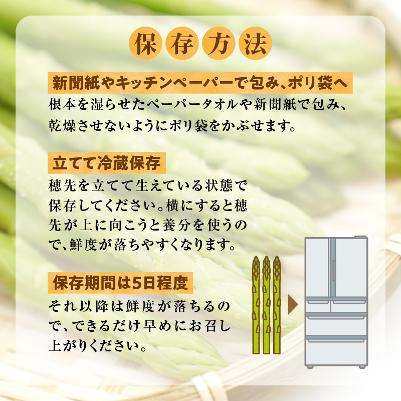 【先行受付】令和8年産 朝採りグリーンアスパラ  500g＜ 川越農場 ＞野菜 春 夏 北海道アスパラ 雨竜町産 パスタ サラダ スープ 旬 やわ旨