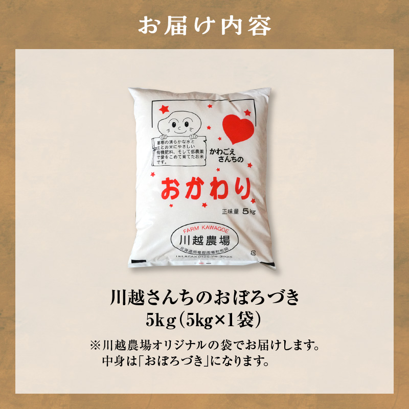 令和7年産 川越さんちの おぼろづき 5kg (5kg×1袋) 雨竜産 おぼろづき 精米 5kg お米 おにぎり お弁当 お取り寄せ 北海道 雨竜町