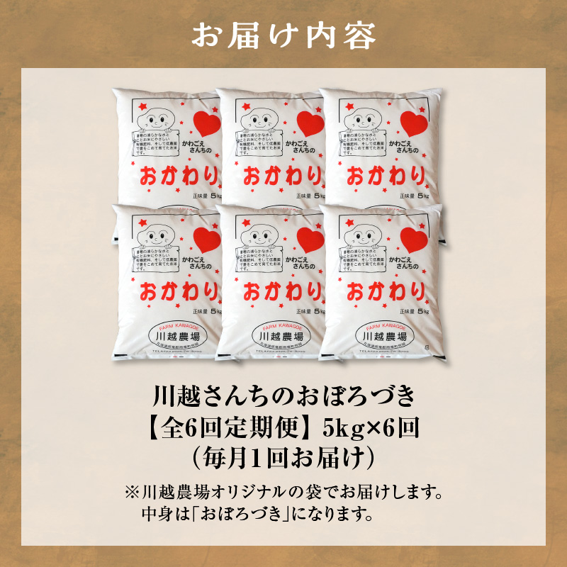 【定期便全6回】令和7年産 川越さんちの おぼろづき 5kg（5kg×1袋）毎月1回お届け 雨竜産 精米 定期便 5kg お米 お取り寄せ 北海道 雨竜町