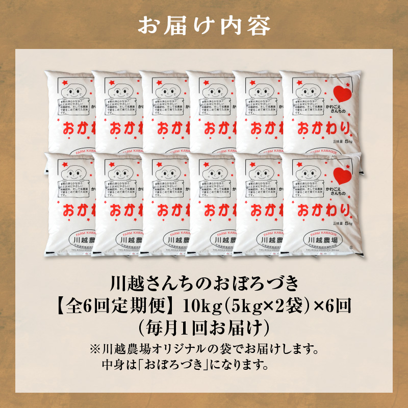 【定期便全6回】令和7年産 川越さんちの おぼろづき 10kg（5kg×2袋）毎月1回お届け 雨竜産 精米 定期便 10kg お米 お取り寄せ 北海道 雨竜町
