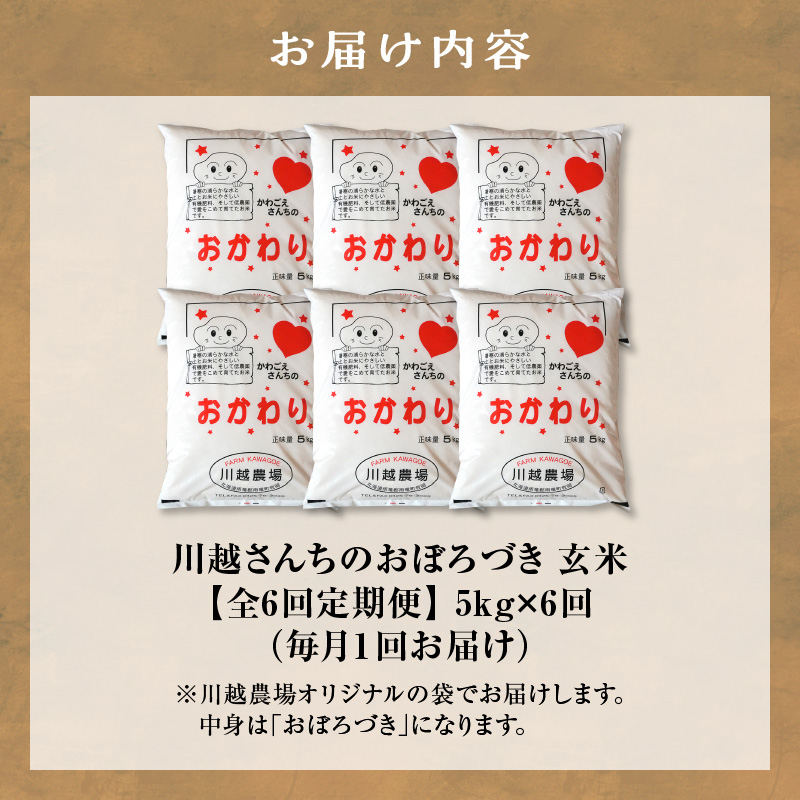 【定期便全6回】令和7年産 川越さんちの おぼろづき 玄米 5kg（5kg×1袋）毎月1回お届け 雨竜産 定期便 5kg お米 お取り寄せ 北海道 雨竜町