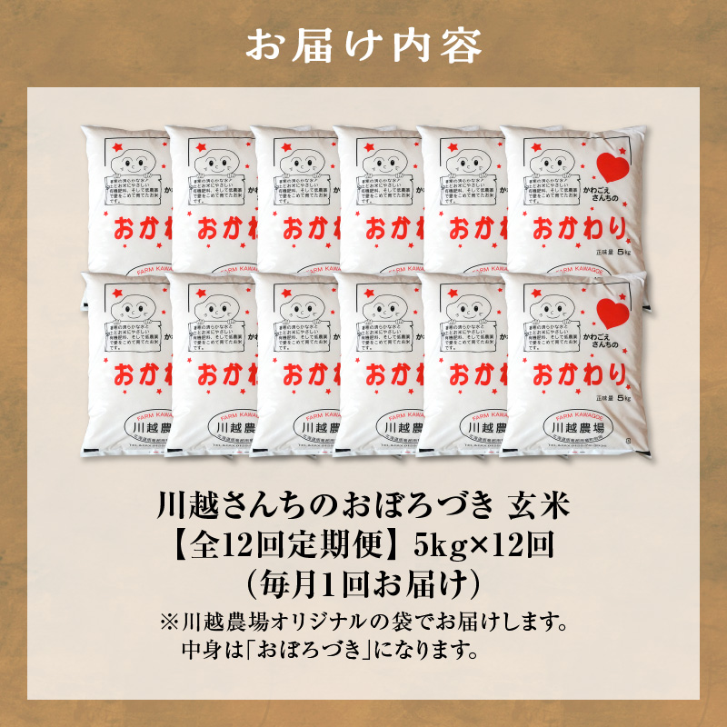 【定期便全12回】令和7年産 川越さんちの おぼろづき 玄米 5kg （5kg×1袋）毎月1回お届け 雨竜産 定期便 5kg お米 お取り寄せ 北海道 雨竜町