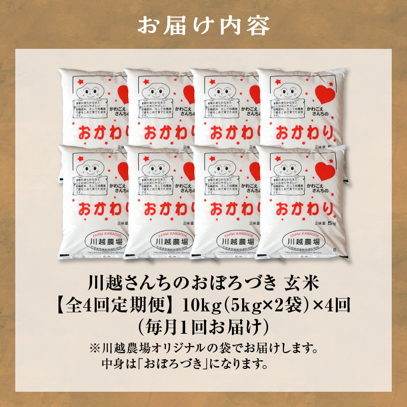 【定期便全4回】令和7年産 川越さんちの おぼろづき 玄米 10kg（5kg×2袋）毎月1回お届け 雨竜産 定期便 10kg お米 お取り寄せ 北海道 雨竜町