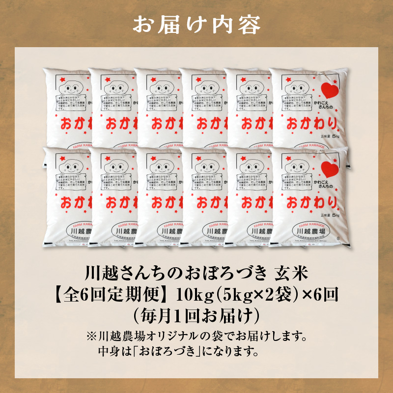 【定期便全6回】令和7年産 川越さんちの おぼろづき 玄米 10kg（5kg×2袋）毎月1回お届け 雨竜産 定期便 10kg お米 お取り寄せ 北海道 雨竜町