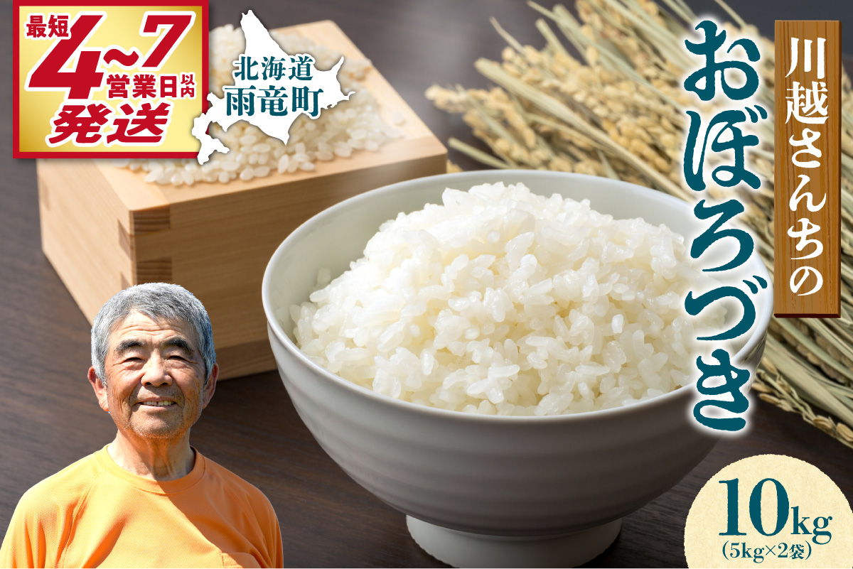 【最短4～7営業日発送】令和7年産 川越さんちの おぼろづき 10kg (5kg×2袋) 雨竜産 おぼろづき 精米 10kg お米 おにぎり お弁当 お取り寄せ 北海道 雨竜町