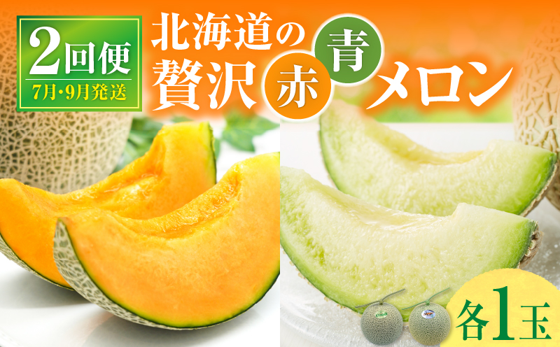【 7月青肉・9月赤肉発送】北海道の贅沢　暑寒メロン食べ比べ2回便 【各1玉づつ】