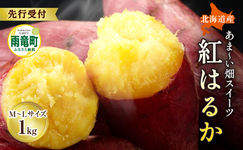 【数量限定】なまら甘い！北海道雨竜町産 さつまいも 「紅はるか」  Ｍ-Ｌサイズ 1kg 大きめサイズ 産地直送 さつまいも サツマイモ 北海道 国産 おやつ お菓子作り 料理