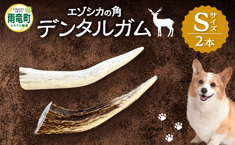 【数量限定】エゾシカの角 デンタルガム Sサイズ