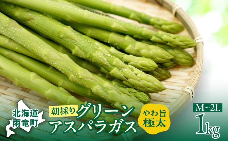 【先行受付】令和8年産 朝採りグリーンアスパラ 1kg＜ 川越農場 ＞野菜 春 夏 北海道アスパラ 雨竜町産 パスタ サラダ スープ 旬 やわ旨