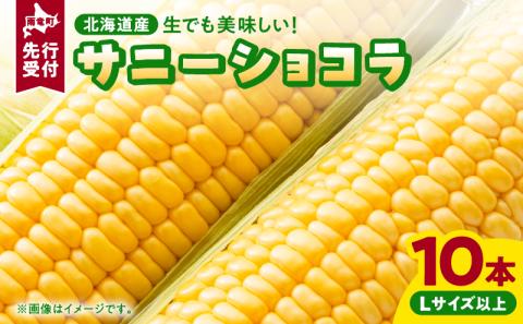 【令和8年産先行受付】生でも美味しい！ とうもろこし 「 サニーショコラ 」 10本（Lサイズ）【配送不可地域：沖縄・離島】