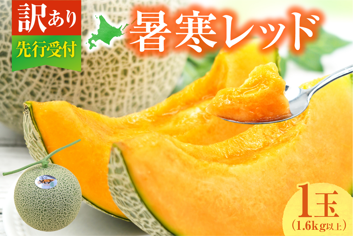 【令和7年産先行予約】【訳あり】北海道メロン 暑寒レッド 1玉 (1.6kg以上×1箱)《2025年9月より発送予定》ワケあり 家庭用 赤肉メロン わけあり 規格外 傷 不揃い くだもの フルーツ メロン めろん 9月 北海道 雨竜町