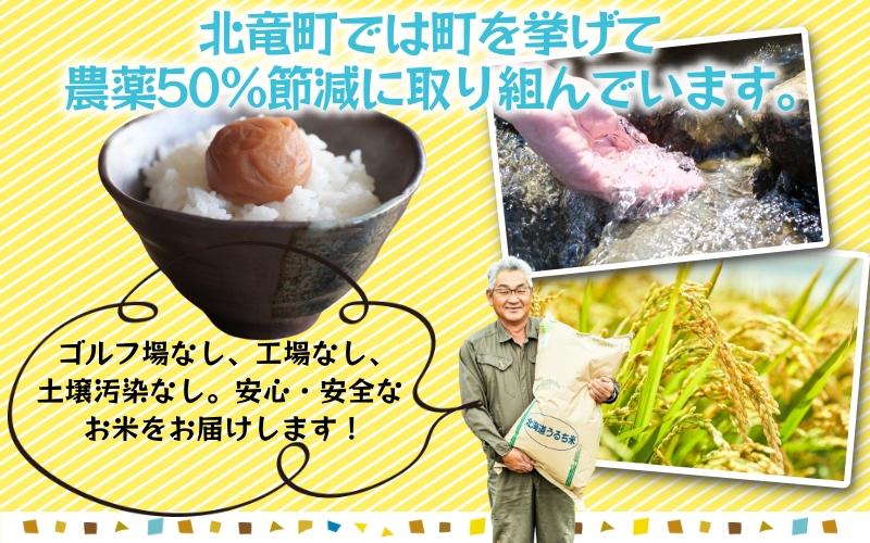 玄米 特別栽培米 ななつぼし 30kg 新米 / ごはん こめ 米 お米 北海道 北海道米 【kja400-nana-gt30-R7】