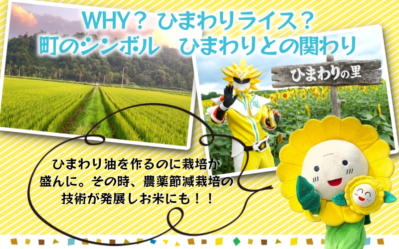 玄米 特別栽培米 ななつぼし 30kg 新米 / ごはん こめ 米 お米 北海道 北海道米 【kja400-nana-gt30-R7】