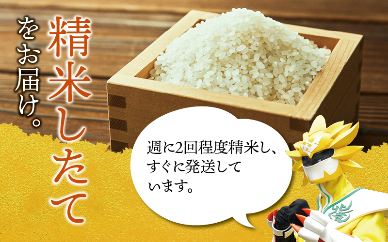 令和7年産 新米 ななつぼし 5kg 【sun400-nana-r5-R7B】