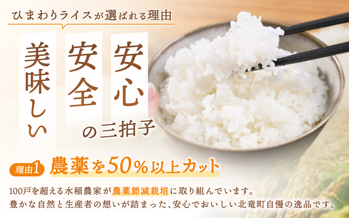 令和8年産 おぼろづき 4kg 新米 お米 ごはん 農薬節減栽培 北海道米 少量 お試し【sun400-obo-r4-R8A】