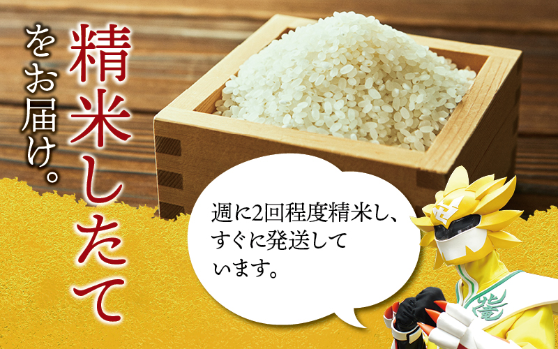 令和7年産 新米 無洗米 ゆめぴりか 10kg【sun400-yume-m10-R7B】