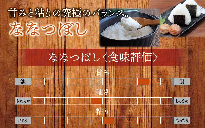 令和7年産 新米 ななつぼし 5kg 【sun400-nana-r5-R7B】