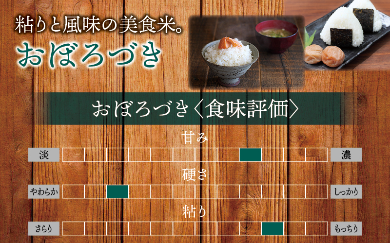 令和7年産 新米 おぼろづき 4kg【sun400-obo-r4-R7】
