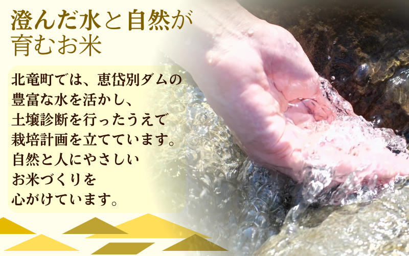 令和7年産 新米 ゆめぴりか 6合(900g)【sun400-yume-r0d9-R7】