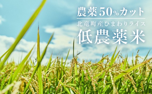 【令和7年産もち米】 風の子もち 10kg 北海道 北竜町産 /もち米　【sun408-mochi-10-R7A】