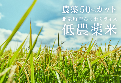 【令和7年産もち米】風の子もち 10kg 北海道北竜町産【sun408-mochi-10-R7A】