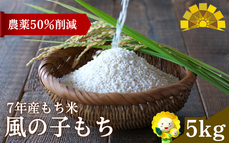 【令和7年産もち米】風の子もち 5kg 北海道北竜町産【sun408-mochi-5-R7A】