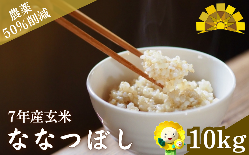  令和7年産 新米 玄米 ななつぼし 10kg　【kja400-nana-g10-R7】