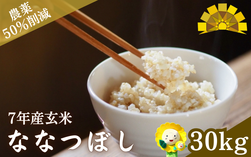 令和7年産 新米 玄米 ななつぼし 30kg　【kja400-nana-g30-R7A】