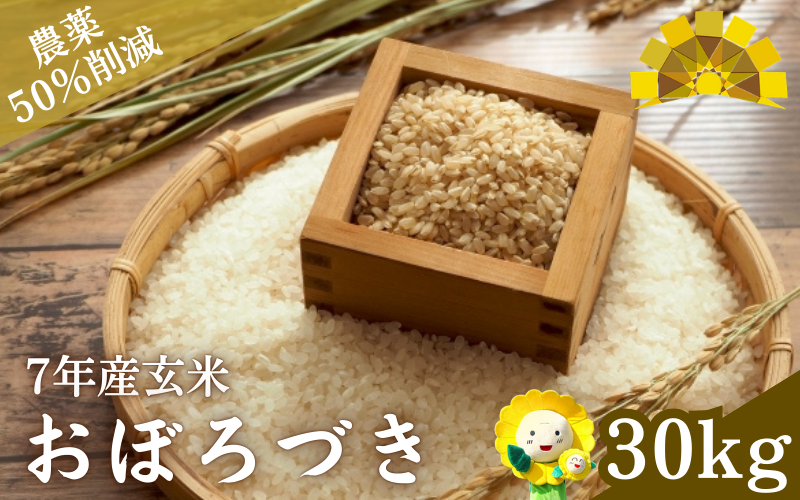 令和7年産 新米 玄米 おぼろづき 30kg　【kja400-obo-g30-R7A】