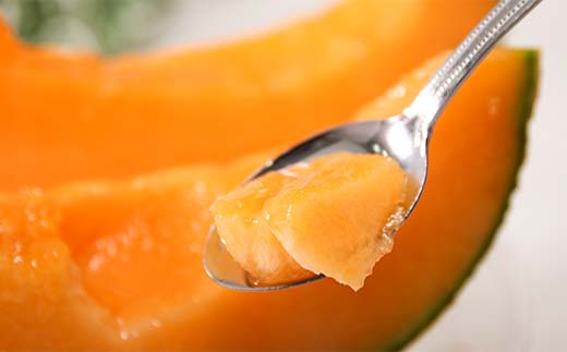 【先行予約】令和7年産 妃メロン 赤肉 大玉 2玉（令和7年7月