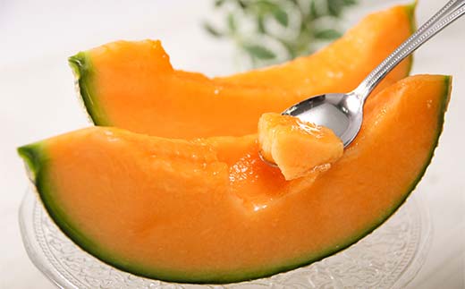 【先行予約】令和7年産 妃メロン 赤肉 大玉 2玉（令和7年7月