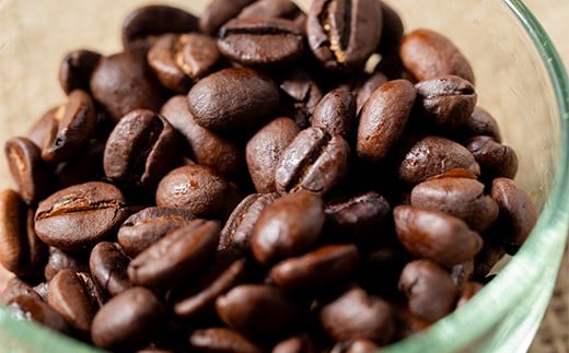 【定期便】雪町コーヒー 豆（100g）1個×6回 自家焙煎 低温貯