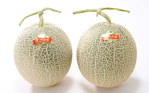 【先行予約】令和7年産 妃メロン 赤肉 大玉 2玉（令和7年7月