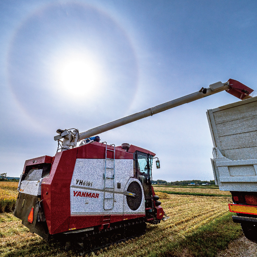 【先行予約】令和7年産 特Aランク米 ななつぼし 玄米 10kg（5