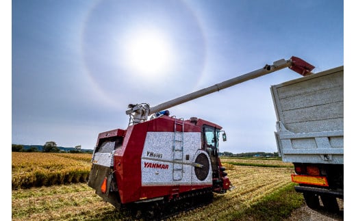 【先行予約】令和7年産 特Aランク米 ななつぼし 無洗米 2kg