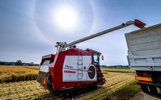 【定期便4ヶ月】ななつぼし 無洗米 20kg（10kg×2袋） 5月発送