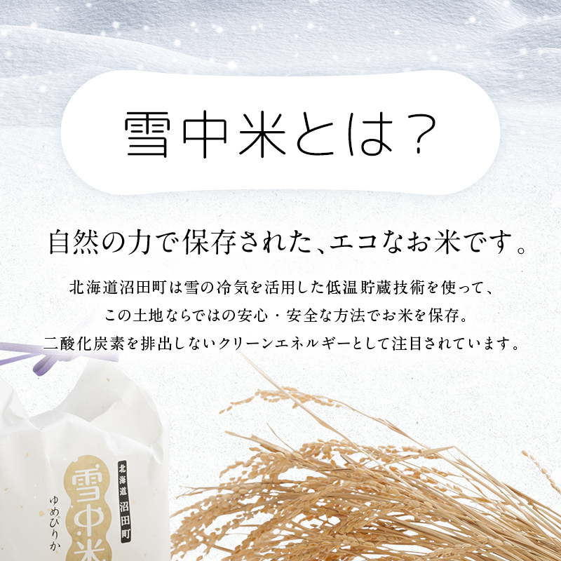 【定期便3ヶ月】ななつぼし 無洗米 10kg（5kg×2袋） 2026年6月